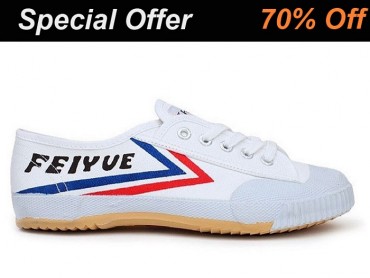 Feiyue Martial Arts Shoes White