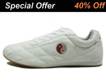 Double Star  Leather Tai Chi Shoes WhiteTai Chi Pattern