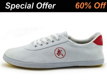 Double Star Canvas Tai Chi Shoes White