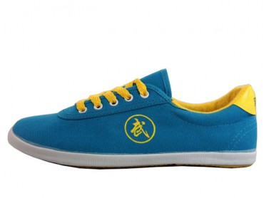 Double Star Canvas Tai Chi Shoes Blue