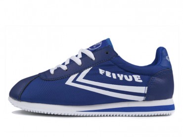 Feiyue Jogging Shoes 2015 New Style Blue White