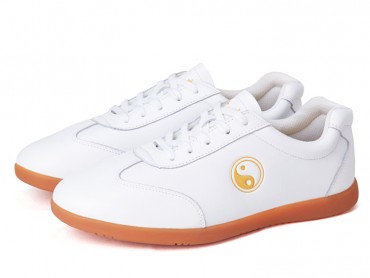 ICNBUYS Kung Fu Tai Chi Shoes White