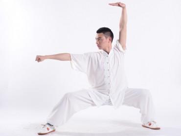 Professional Tai Chi Uniform Summer Man Half Sleeve White