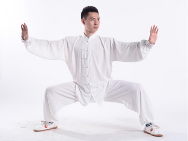 Professional Tai Chi Uniform Summer Man White