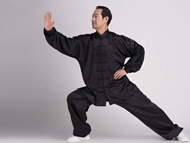 Tai Chi Uniform Silk Like Suit for Men Black
