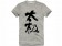 Tai Chi T-shirt, Tai Chi T-shirt Chinese Characters, Tai Chi T-shirt Grey