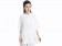 Tai Chi Clothing Short-sleeve Suit for Women Summer Ice Silk Fabric