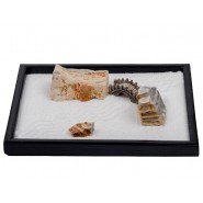 zen garden, mini zen garden, tabletop zen garden, zen garden on desk, Japanese zen garden, icnbuys zen garden